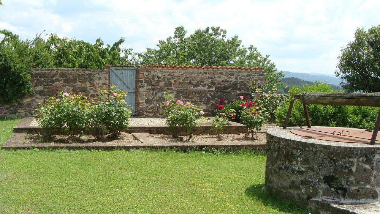Chateau Des Grezes Agnat Exteriör bild